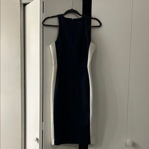 Classic Navy and White Sheath Banana Republic Dress
